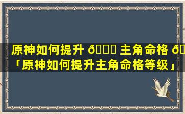 原神如何提升 🐝 主角命格 🐯 「原神如何提升主角命格等级」